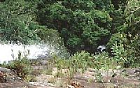 Cachoeira das Bicas